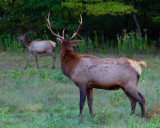 IMG_1910.jpg