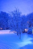 Huge Snow Fall In The Night