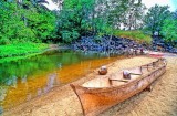 Tree Boat Dries Near River 