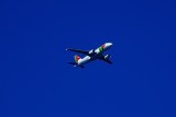 TAPs A319, Blue Skies