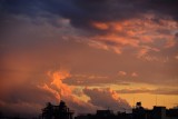 After the Rain Storm