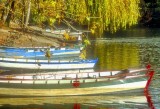 Boats and Landscape Gone By