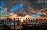 Fiery Sunset Palms