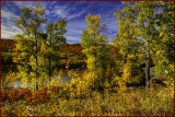 Autumn River View