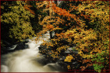 Autumn Flowing Stream