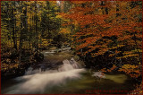 Franconia Notch Creekside