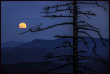 Smokey Mountain Moonrise