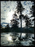 Reflections