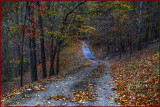 Autumn Backroads of No Return 