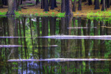 Yosemite Reflections