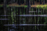 Backwood Reflections