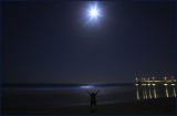 Blue Tide Moonlight