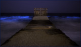 Blue Tide Playa Del Rey