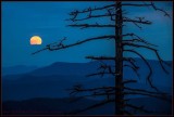 Smokey Mountain Moonrise