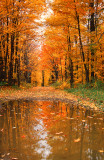 NEW ENGLAND