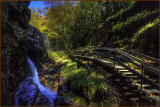 Franconia Notch Flume Gorge State Park