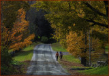 High Pastures River Road