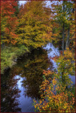 Reflections of Milford Creek