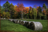 Back Road Bales