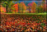 Fallen Leaves