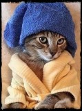 Spa Day 😻