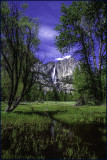 Yosemite Meadow Reflections