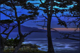 Cypress Point Twilight
