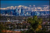 Los Angeles Winter