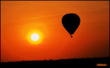 balloon sunrise.jpg