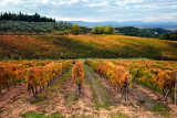 View from the Localit Gaggiano (Rd SS429)