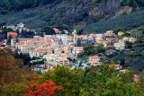 Vesca Altolina