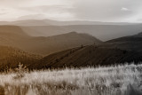 Nature and Landscapes