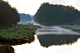 Ankeveensche polder