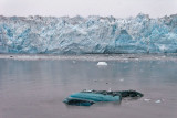 Hubbard Glacier