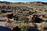 Petrified Forest National Park, Arizona
