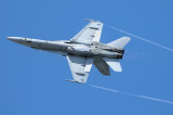 MCDONNELL DOUGLAS F/A-18A/B HORNET