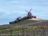 Champagne region