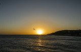 IMG_9851.jpg