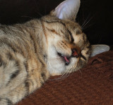 DSCF3359.jpg