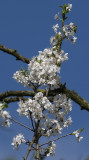 DSCF0892.jpg
