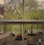 A room with a view.jpg