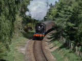 DSC01844.jpg