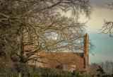 a in the trees.jpg