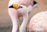 GER: Berlin - Zoologischer Garten und Aquarium