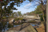 Japanese Garden