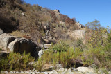 Typical habitat of the Cajón Grande section