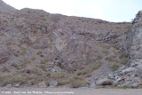 Crag Chilia Habitat