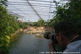 Rick @ Work in Rimbula