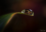 Refraction