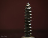 Reversed Lens